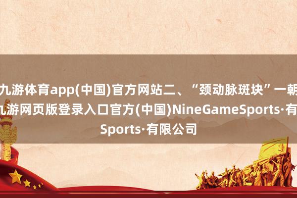 九游体育app(中国)官方网站二、“颈动脉斑块”一朝形成-九游网页版登录入口官方(中国)NineGameSports·有限公司